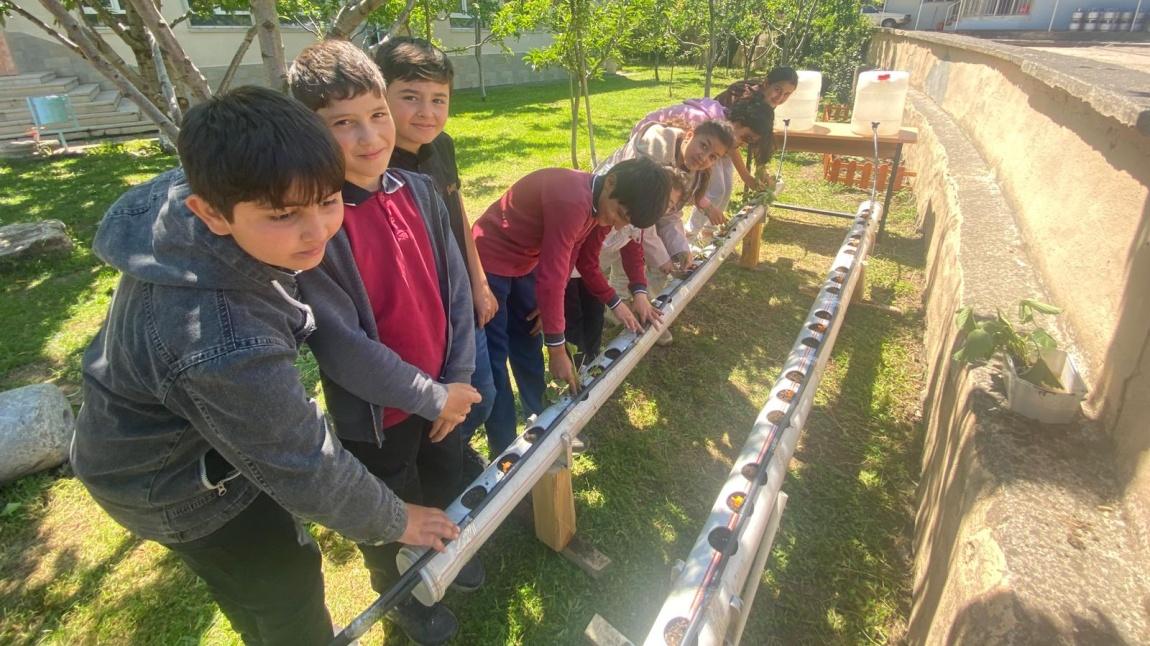 Yaşam Becerileri Projesi Kapsamında Topraksız Tarım